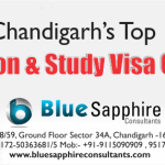 Immigration Consultants in Chandigarh