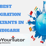 Immigration consultants in Chandigarh